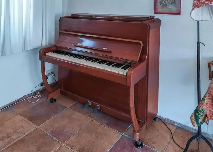 2 Bedroom Cozy In * Noordwijkerhout