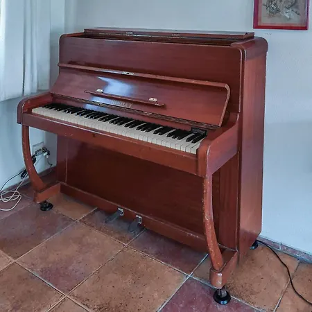 2 Bedroom Cozy In * Noordwijkerhout